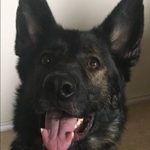 Meet your Posher, Hayley